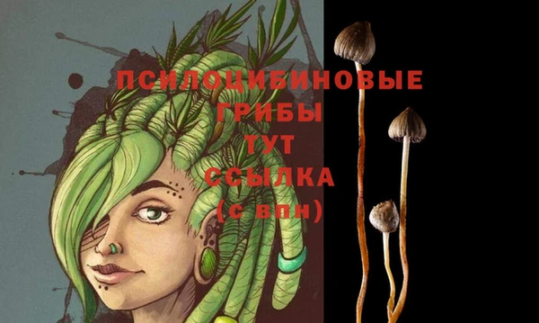 первитин Дедовск